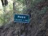 Napa - so this is where all our money goes...