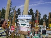 sign-post-forest-32_