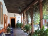 Courtyard of a home in Alamos