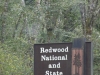 Home of the Redwoods