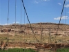 Washed Out Bridge Across Colorado
